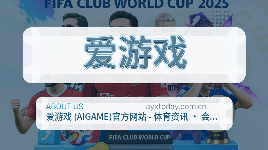 爱游戏服务理念